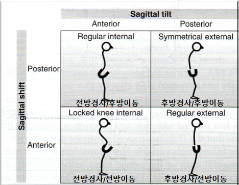 골반04.png