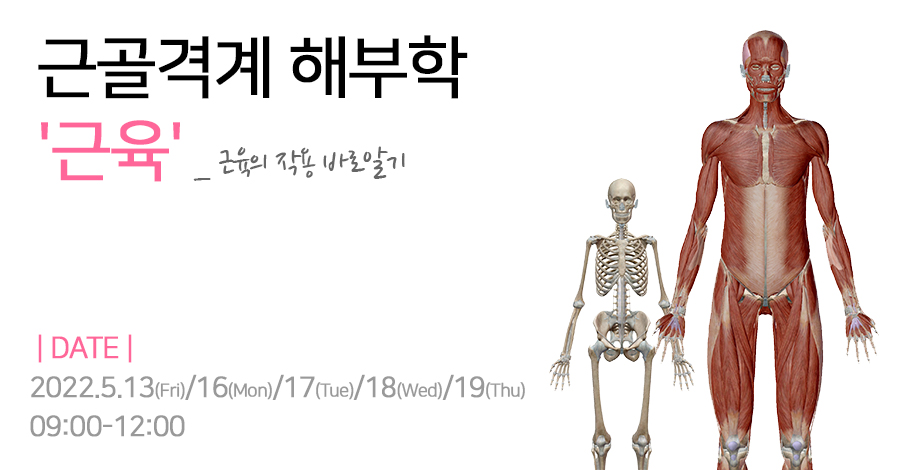 모던필라테스_근육학_평일오전.jpg