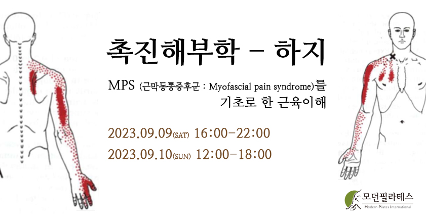 모던필라테스_9월_촉진해부학하지.jpg
