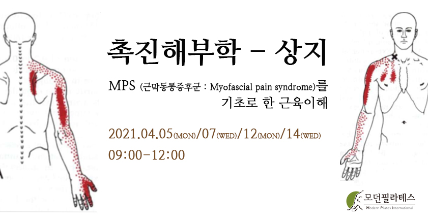 촉진상지.jpg