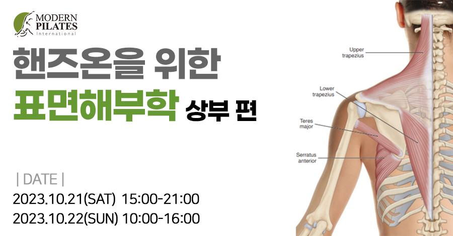 모던필라테스_10월_표면해부학 상부.jpg