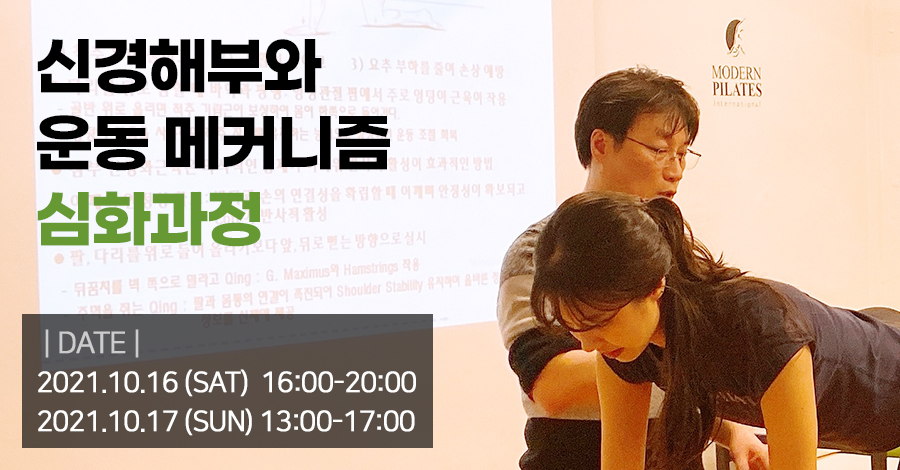 모던필라테스_신경해부_심화.jpg