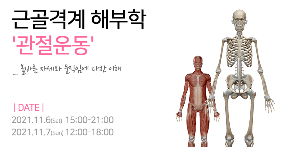 모던필라테스_관절운동학.jpg