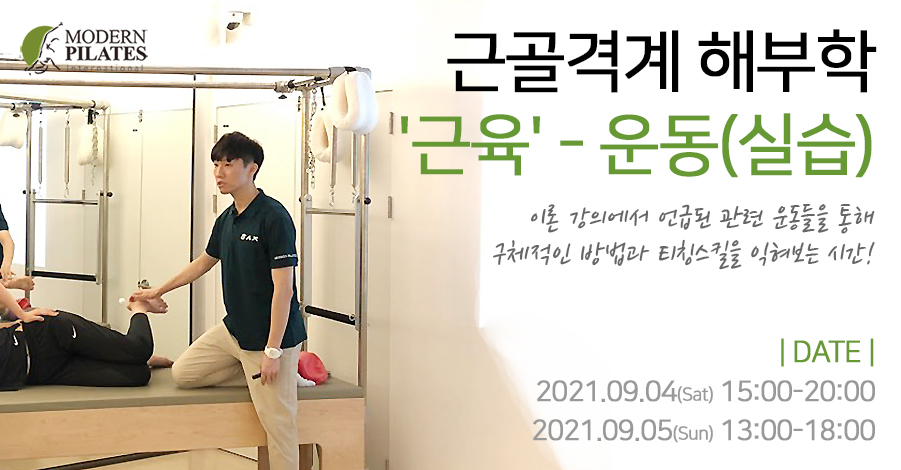 모던필라테스_근골격계근육운동.jpg