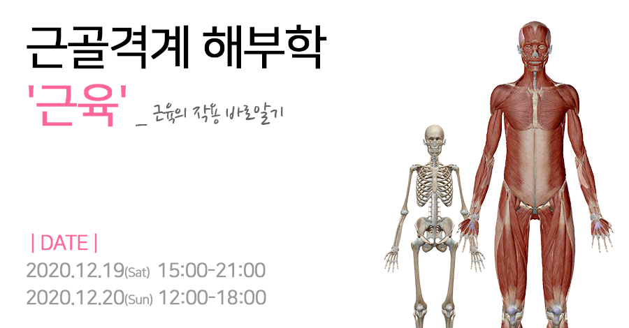 모던필라테스_12월_근육학.jpg