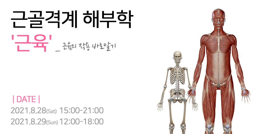 모던필라테스_8월_근육학.jpg