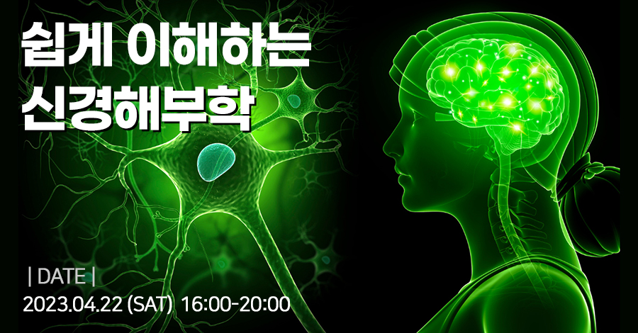 모던필라테스_신경해부학.jpg