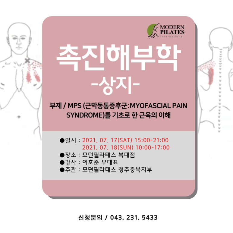 모던필라테스_청주충북지부_촉진해부학 상지.png