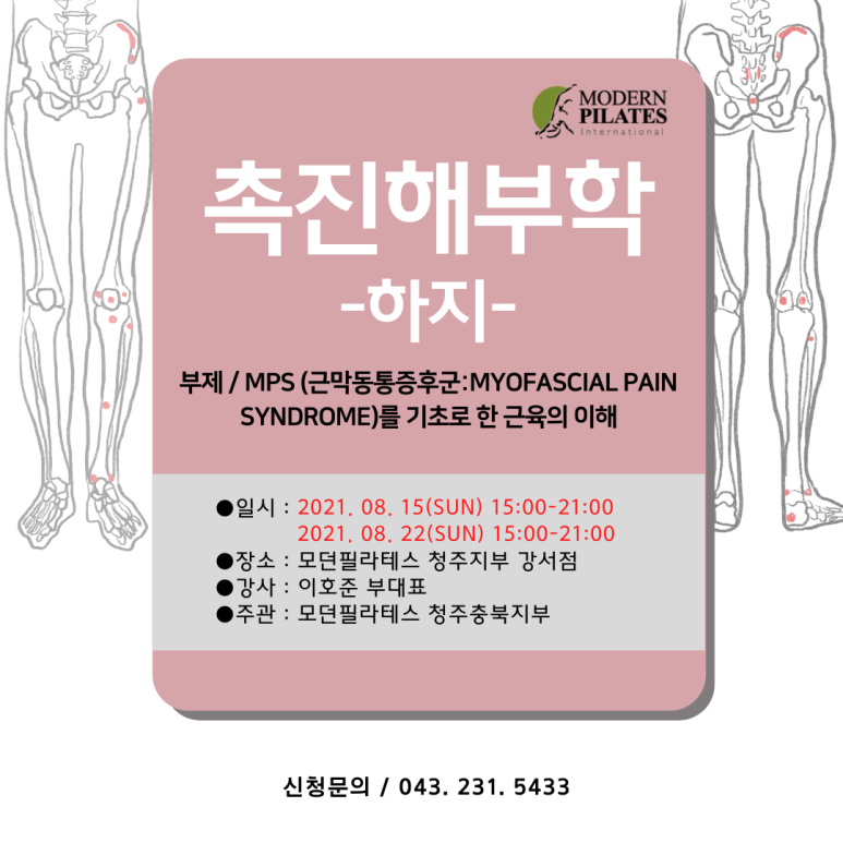 모던필라테스_청주충북지부_촉진해부학 하지.png