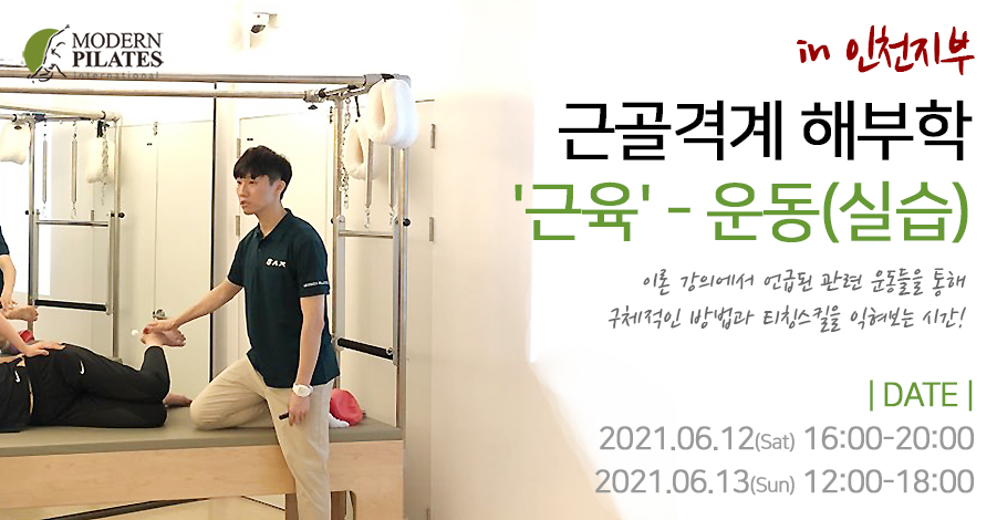 모던필라테스_인천지부_근육학운동편.jpg